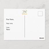 Bluebirds Postkarte (Rückseite)