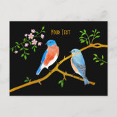 Bluebirds Postkarte (Vorderseite)