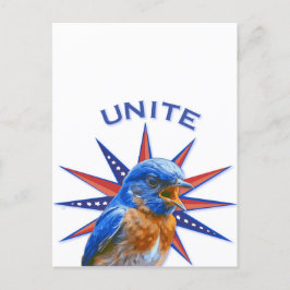Bluebirds UNITE Postcard Postkarte