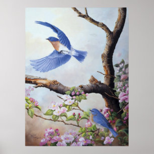 "Bluebirds" UV-Leinwand Poster