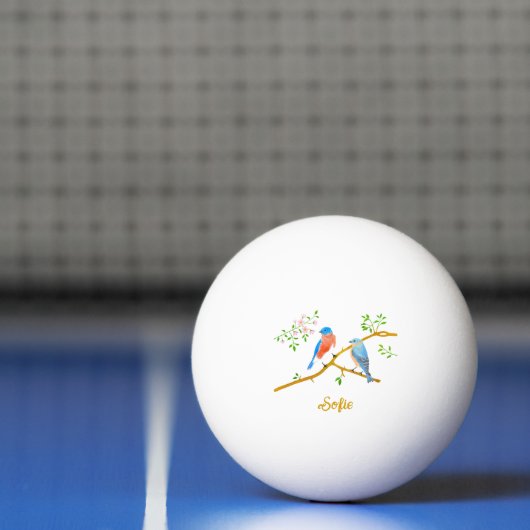 Bluebirds White Ping Pong Ball Tischtennisball (Netto)
