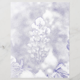 Bluebonnet