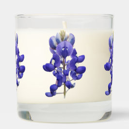 Bluebonnet