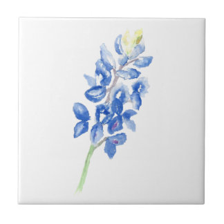 Bluebonnet 1 fliese