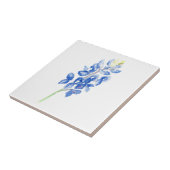 Bluebonnet 1 fliese (Seite)