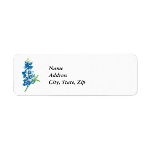 Bluebonnet 2