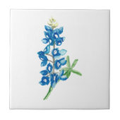 Bluebonnet 2 fliese (Vorderseite)