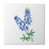Bluebonnet 3 fliese (Vorderseite)