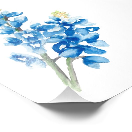 Bluebonnet 4 fotodruck (Ecke)