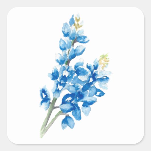 Bluebonnet 4 quadratischer aufkleber (Vorderseite)