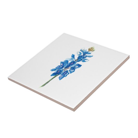 Bluebonnet 5 fliese (Seite)