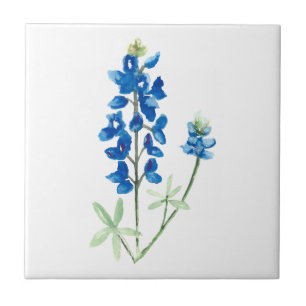 Bluebonnet 6 fliese