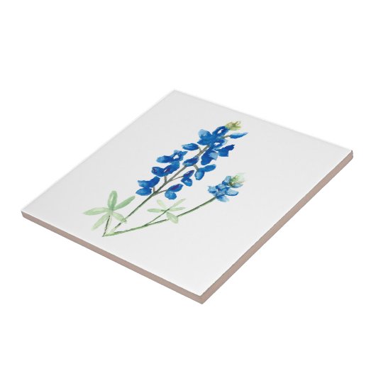 Bluebonnet 6 fliese (Seite)