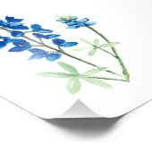 Bluebonnet 6 fotodruck (Ecke)