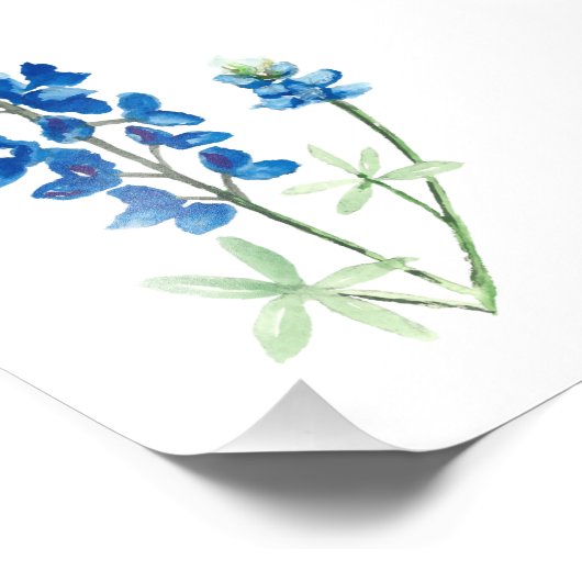 Bluebonnet 6 fotodruck (Ecke)