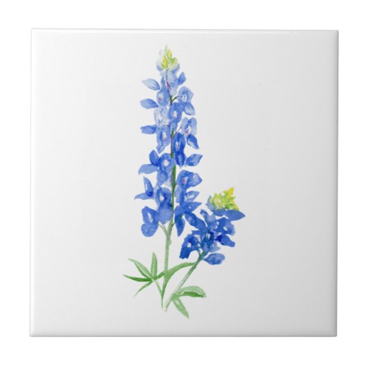Bluebonnet 7 fliese (Vorderseite)