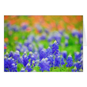 Bluebonnet auf Leinwand