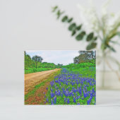 Bluebonnet Back Road Postkarte (Stehend Vorderseite)