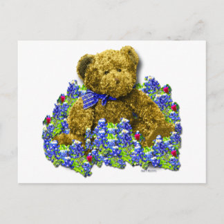 Bluebonnet Bear Postcard Postkarte