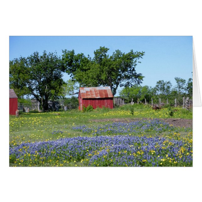 Bluebonnet Farm (Vorderseite (Horizontal))