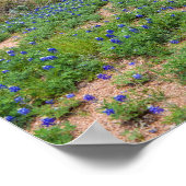 Bluebonnet Feld, Austin, Texas Poster (Ecke)