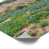 Bluebonnet Feld, Austin, Texas Poster (Ecke)