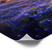 Bluebonnet Feld bei Sonnenuntergang mit alter Sche Poster (Ecke)