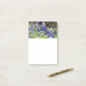 Bluebonnet-Feld-Post-Itanmerkungen Post-it Klebezettel (Auf Schreibtisch)