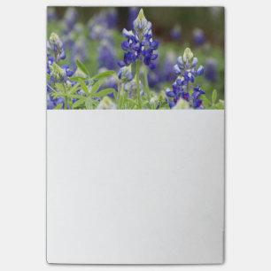 Bluebonnet-Feld-Post-Itanmerkungen Post-it Klebezettel