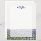 Bluebonnet-Feld, unausgezeichnet (Vorne/Hinten)