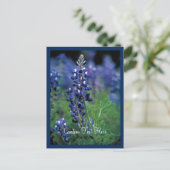 Bluebonnet Field Blue Blume Texas Staat Postkarte (Stehend Vorderseite)