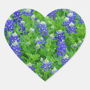 Bluebonnet Field Herz-Aufkleber