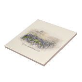 Bluebonnet Field Sketch Wasserfarbe Fliese (Seite)