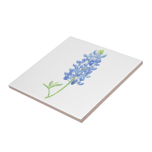 Bluebonnet Fliese (Seite)