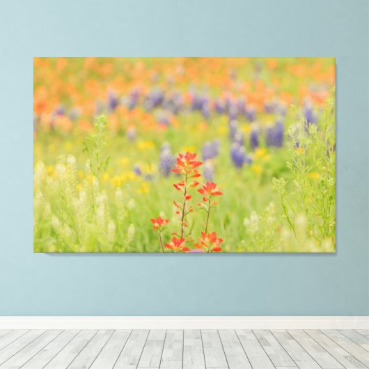 Bluebonnet-Foto aus Texas Hill Country Leinwanddruck (Insitu (Holzboden))