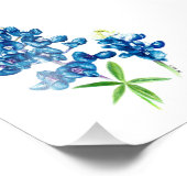 Bluebonnet Fotodruck (Ecke)