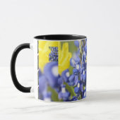 BlueBonnet-Gemisch Tasse (Links)