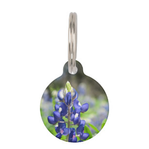 Bluebonnet Haustiermarke