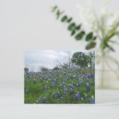 Bluebonnet Hill Postkarte (Stehend Vorderseite)