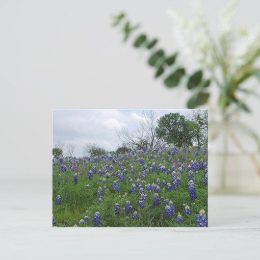 Bluebonnet Hill Postkarte (Stehend Vorderseite)