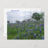 Bluebonnet Hill Postkarte (Vorne/Hinten)