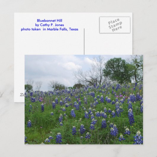 Bluebonnet Hill Postkarte (Vorne/Hinten)