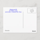 Bluebonnet Hill Postkarte (Rückseite)