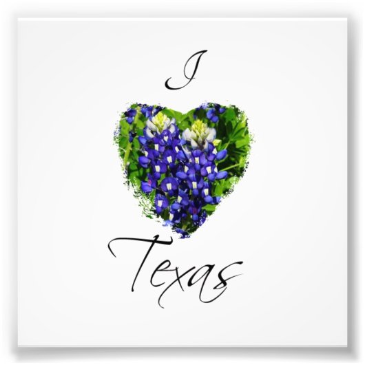 Bluebonnet "I heart Texas" Square Fotodruck (Vorne)