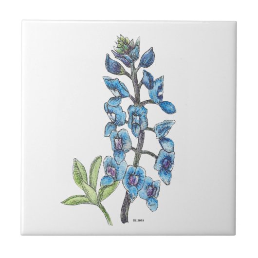 Bluebonnet in Line und Wash 1 Keramik Tile Fliese (Vorderseite)