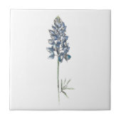 Bluebonnet Keramik Tile Fliese (Vorderseite)