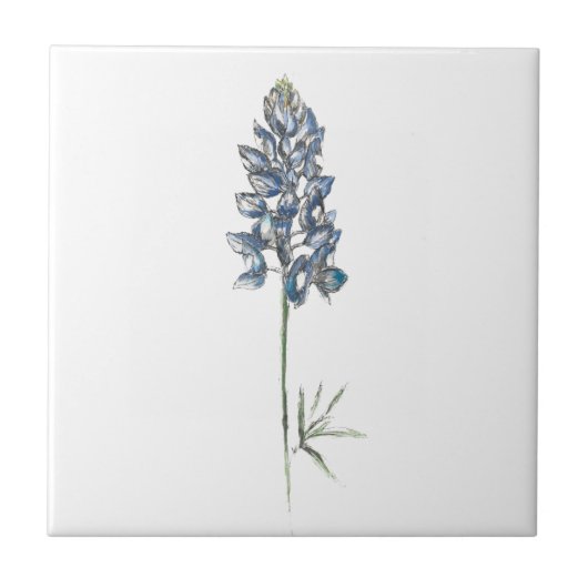 Bluebonnet Keramik Tile Fliese (Vorderseite)