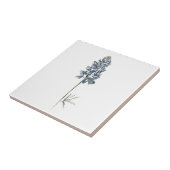 Bluebonnet Keramik Tile Fliese (Seite)