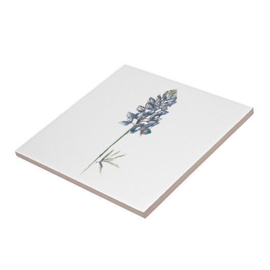 Bluebonnet Keramik Tile Fliese (Seite)