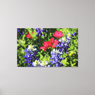 Bluebonnet Leinwanddruck